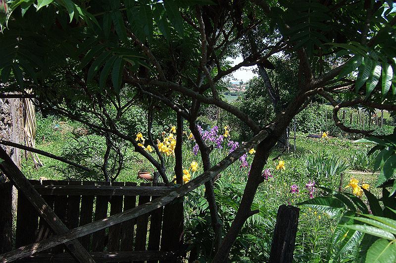 2010-06- (96).JPG